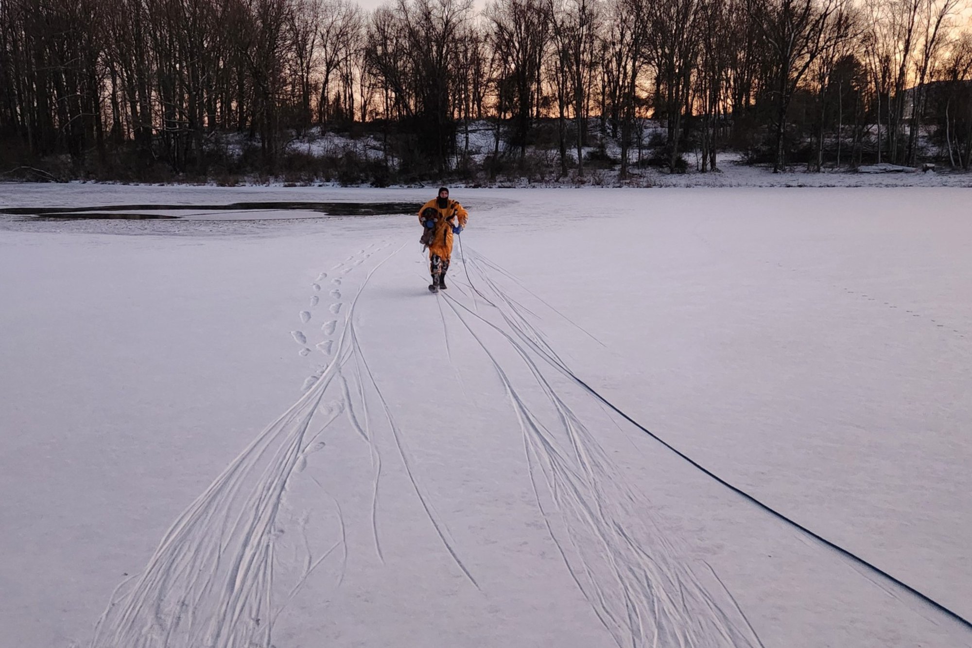 Firefighter saves dog from frozen pond