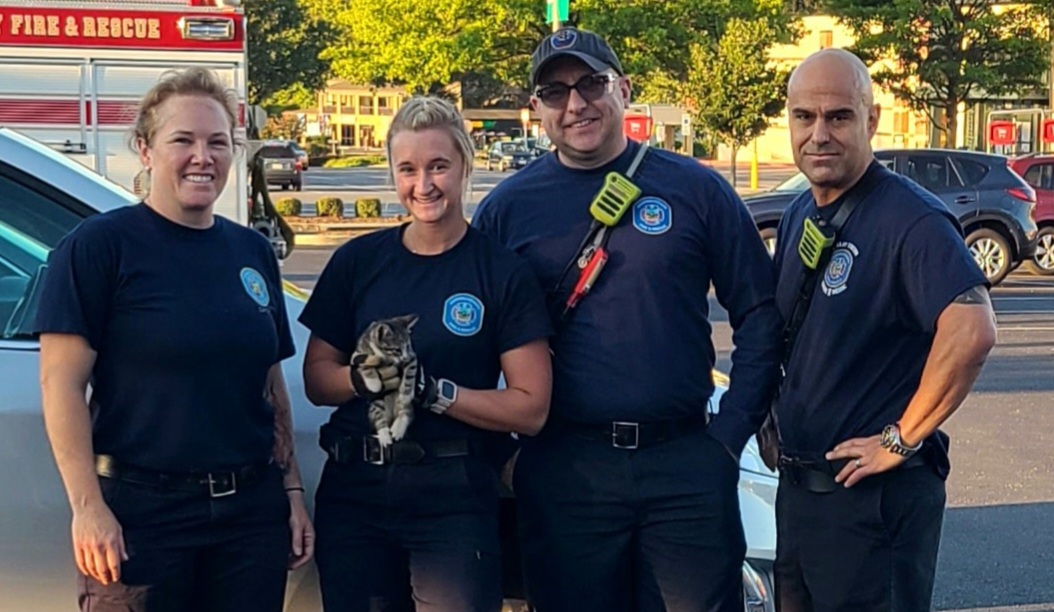 Kitten Save September 2023